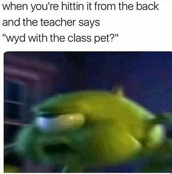Whats the class pet - meme