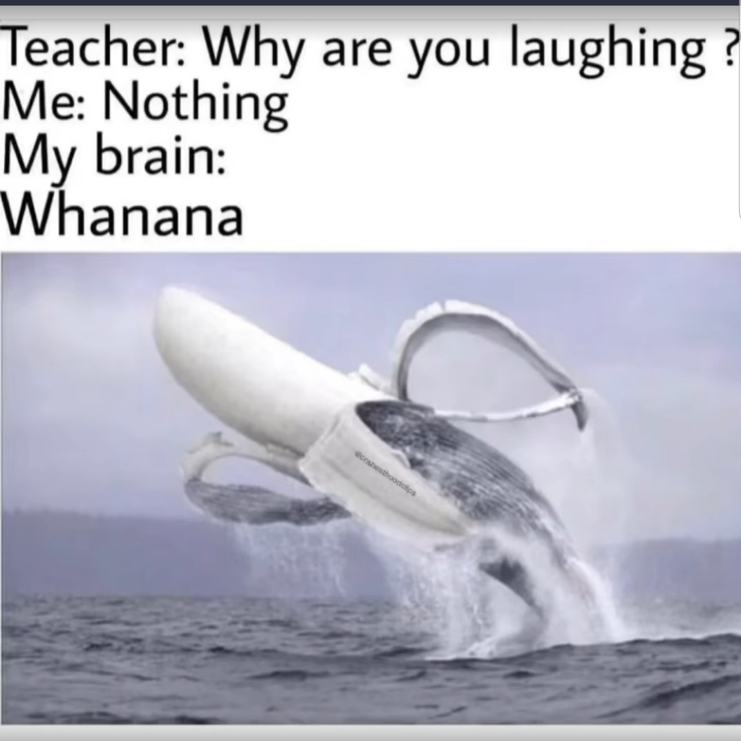 When whales become whanana - meme