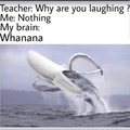 When whales become whanana