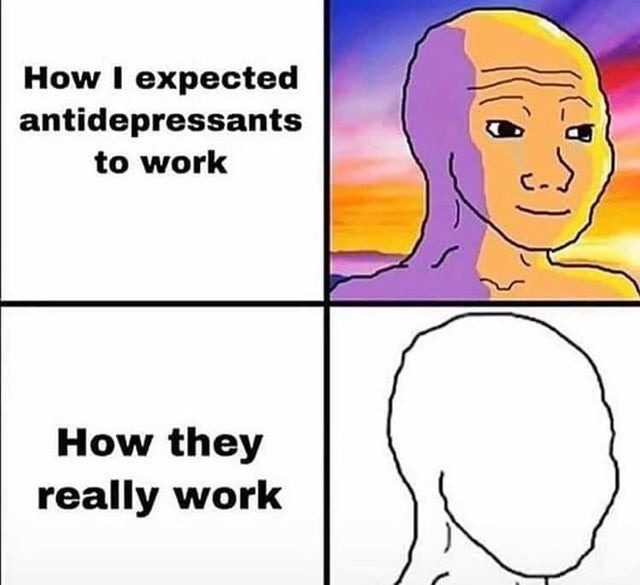 How antidepressants really work - meme