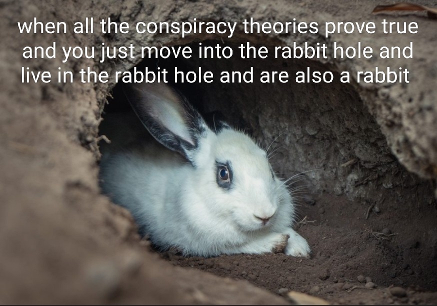 Year of the rabbit - meme