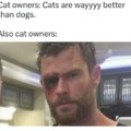 Cat owners meme