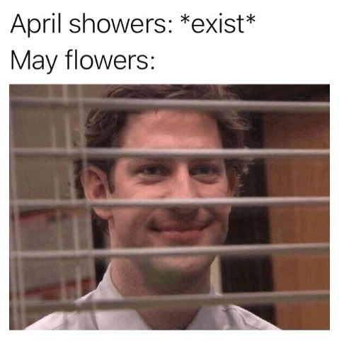 April showers meme