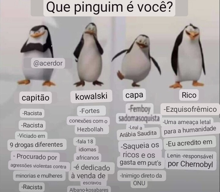 Pinguim - meme