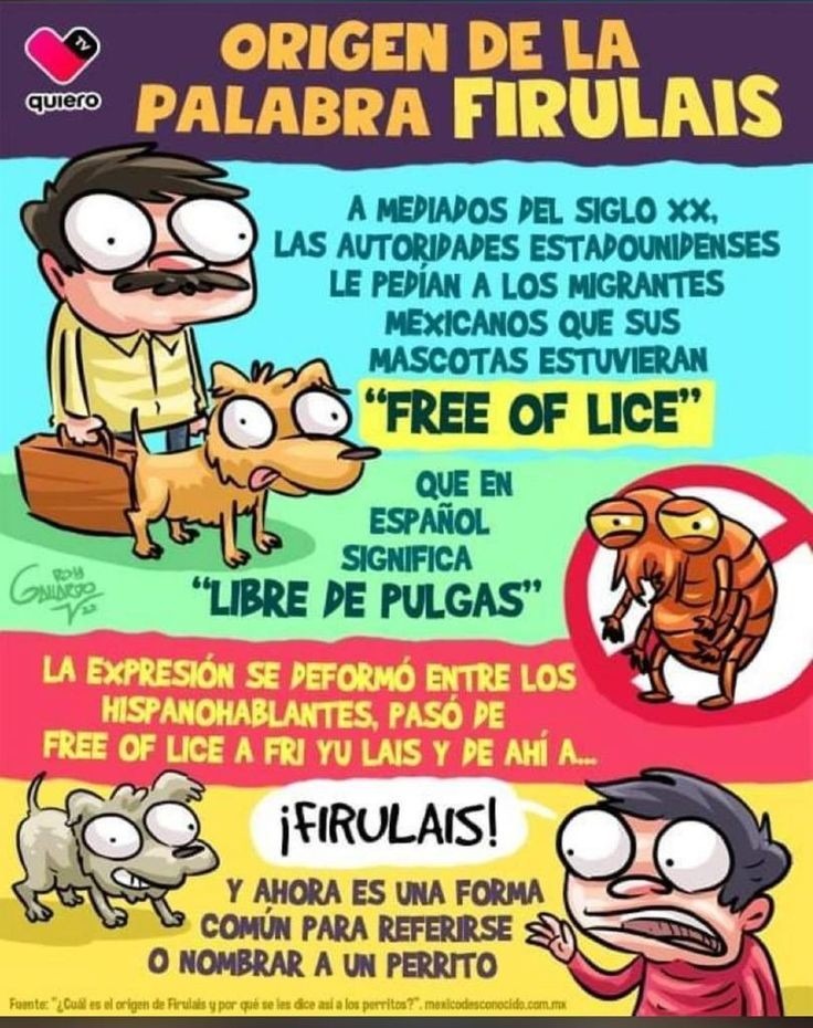 firulais - meme