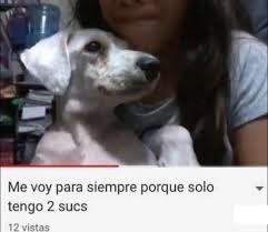 Los que tengan canal de YouTube dejen su dirección para visitarlos - meme