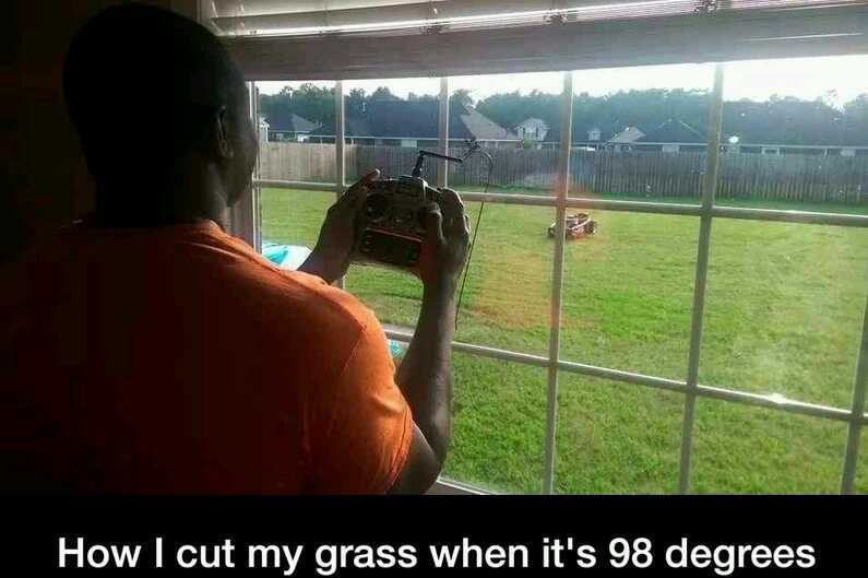 Cut grass - meme