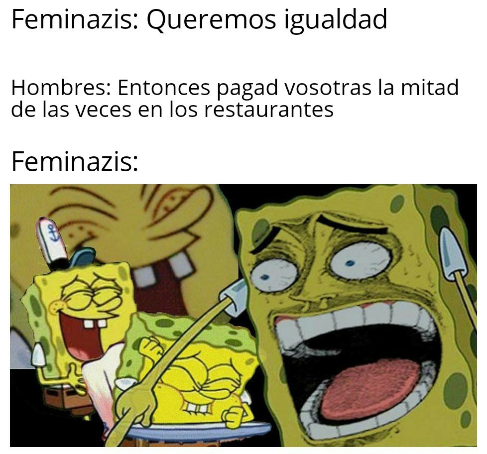 Stas feminazis - meme