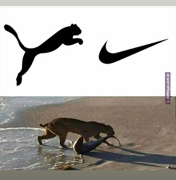 Puma vs Nike - meme