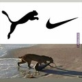 Puma vs Nike