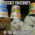 the grand Majestic Royal order of the noodle heads
