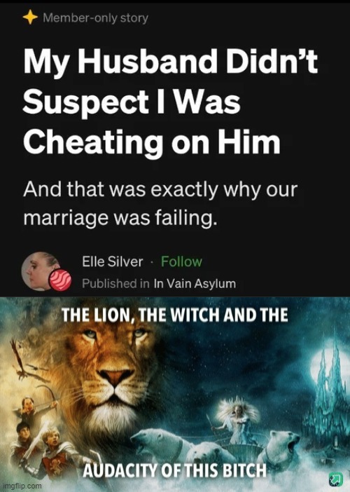 My husband didn't suspect I was cheating on him - meme
