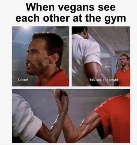 Vegan gymbros meme