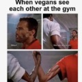 Vegan gymbros meme