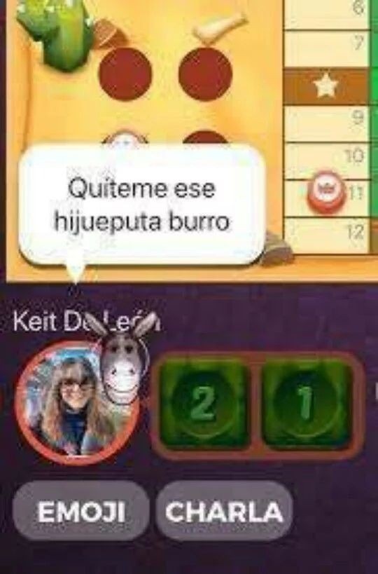Burro - meme