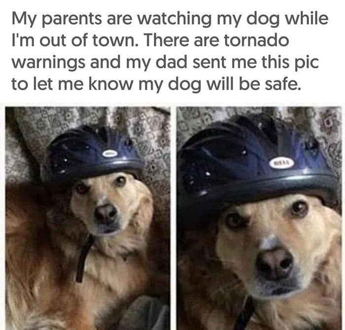 To legally ride the escape bike that I keep in the basement, of course - meme