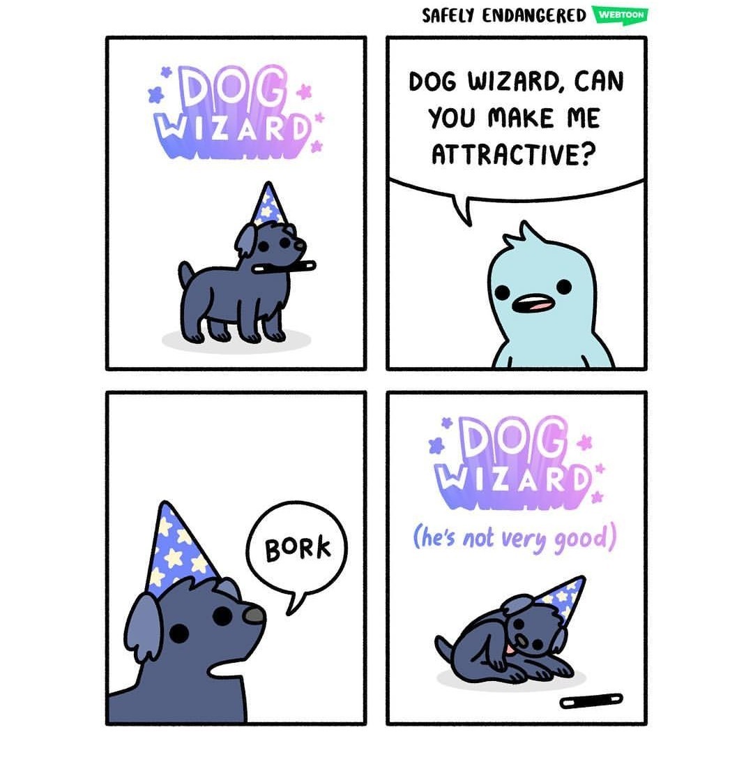 Dog wizard - meme
