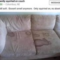 Chorro sofá