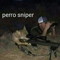 Perro sniper