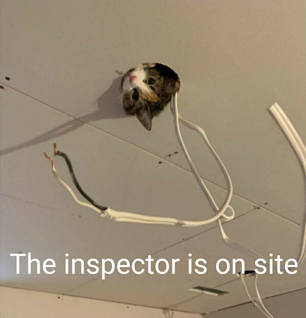 here to inspect yr memes