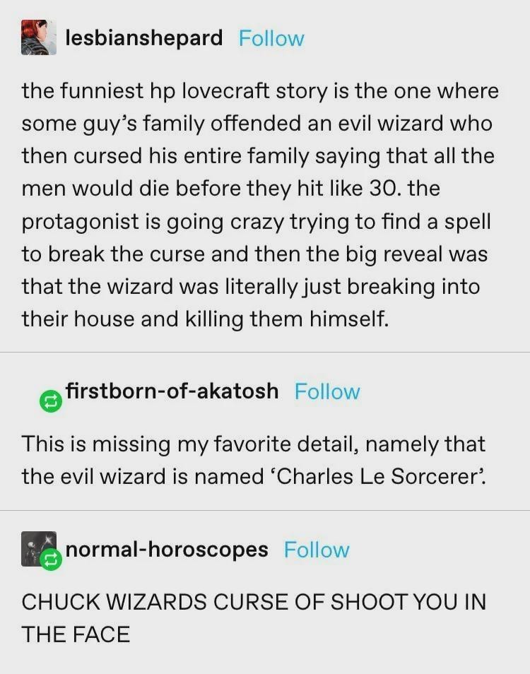 The wizard wasn’t casting spells. He was just busting into their house - meme
