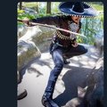 commented item thumbnail