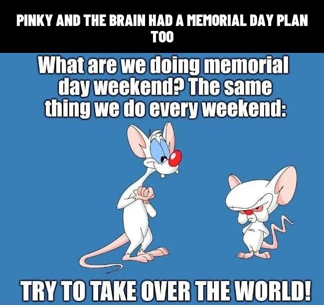 Pinky had a plan for Memorial Day too - meme
