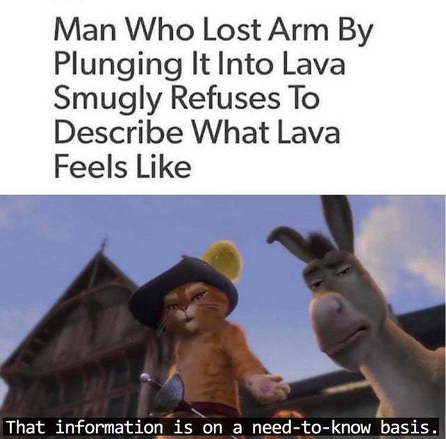 Man who lost arm by plunging it into lava smugly refuses to describe what lava feels like - meme