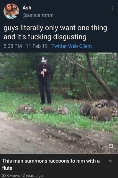 Trash pandas - meme