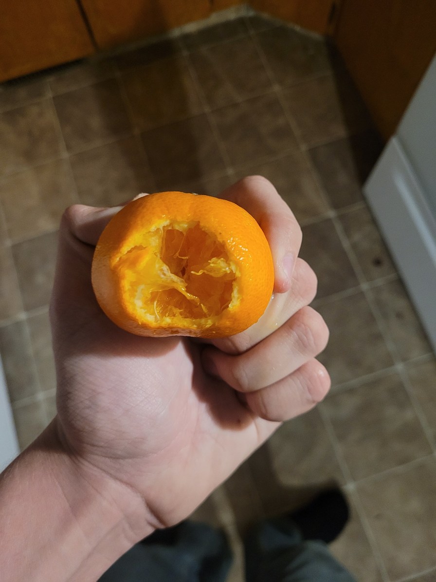 Honestly best orange I've had - meme