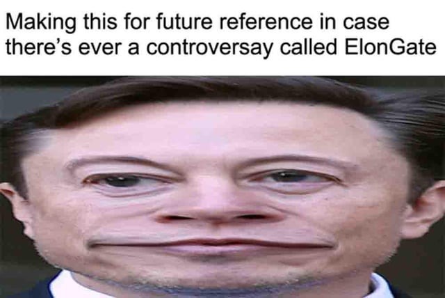 ElonGate - meme