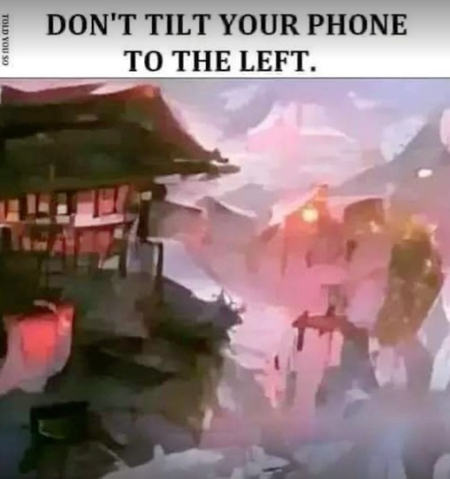 Can't see it :/ - meme