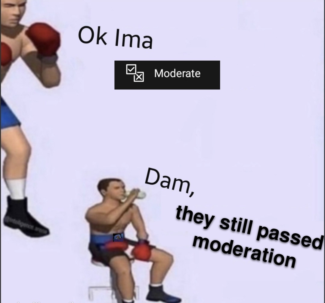 Moderation is a shit show - meme
