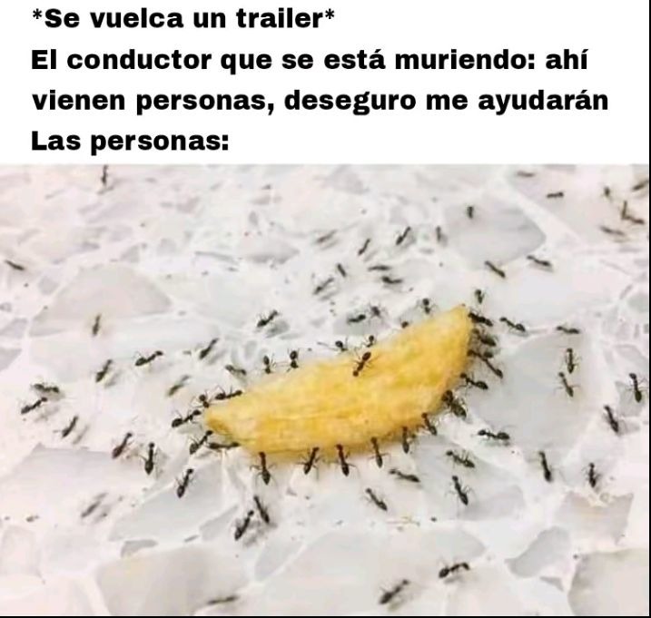 Pero vives en México - meme
