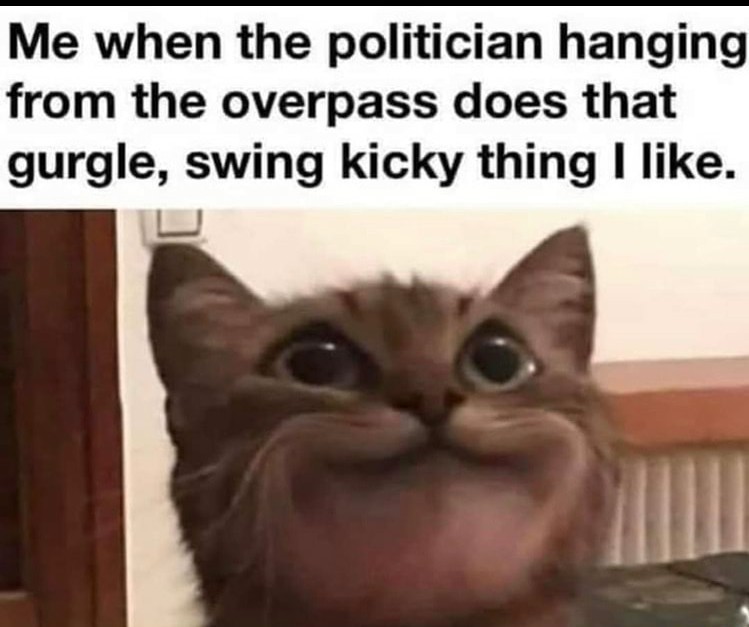 Swing kicky thing - meme