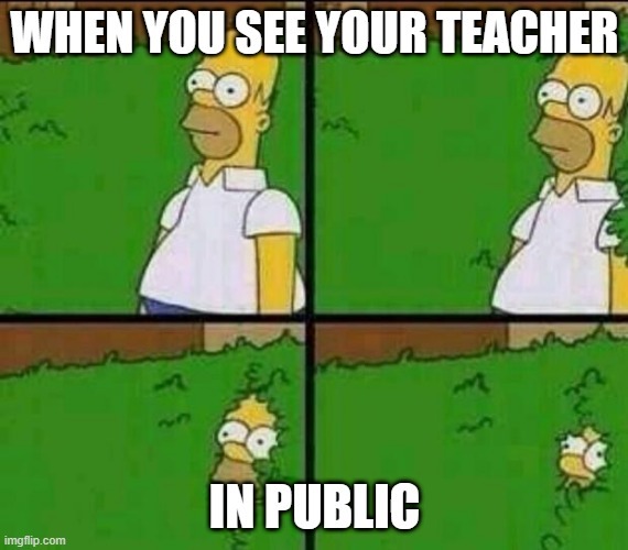 when you see your teacher in public - meme
