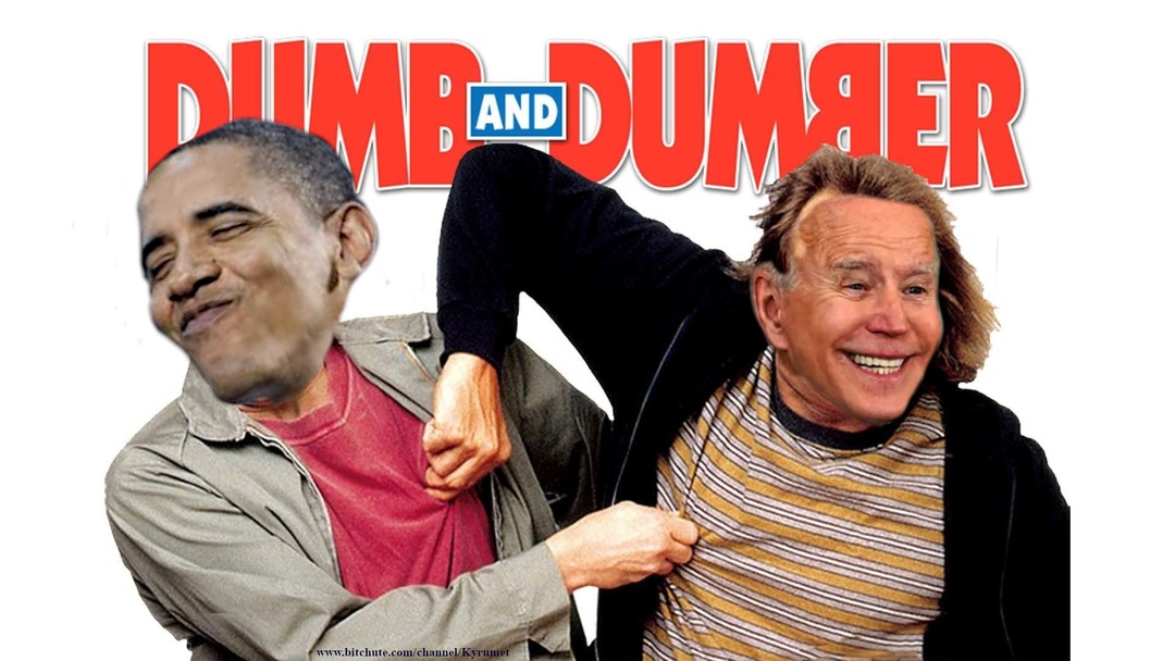 Dumb and Dumberer - meme