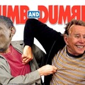 Dumb and Dumberer