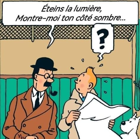tintin se macronise - meme