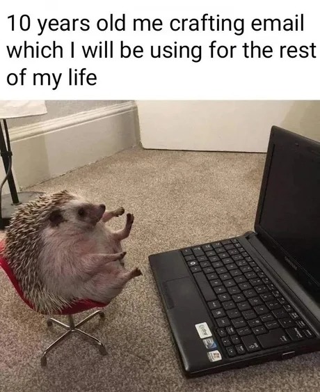Accurate, It was great - meme