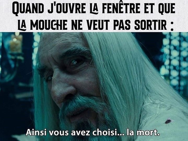 POV : moi avec les mouches     Dsl si c’est un repost - meme