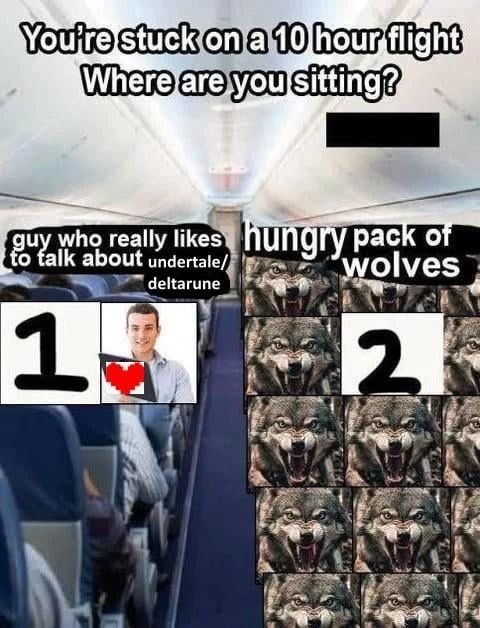 You’re stuck on a Deltarune dogflight. Choose your seat wisely - meme