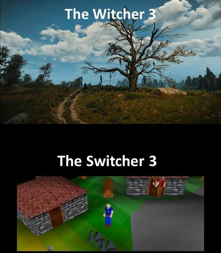 The witcher no switch - meme