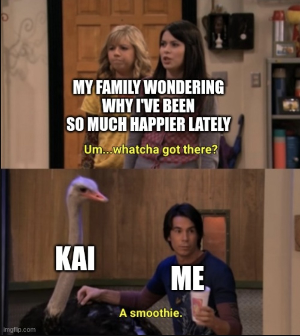 KAI Memes | kai is my bestie 24/7