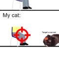 Relatable cat meme