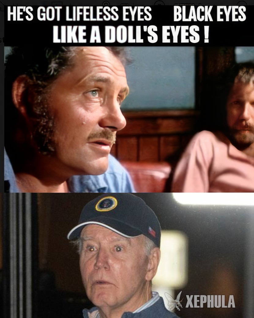 Need a bigger boat - meme