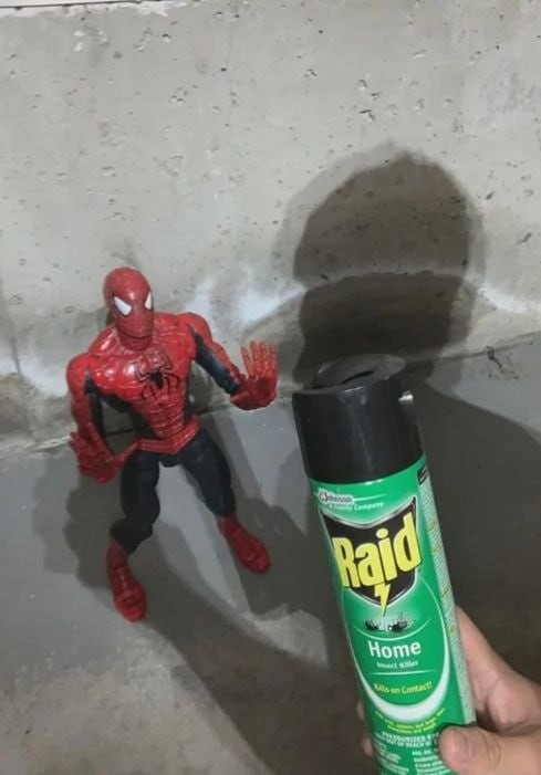 Es tu final hombre araña - meme