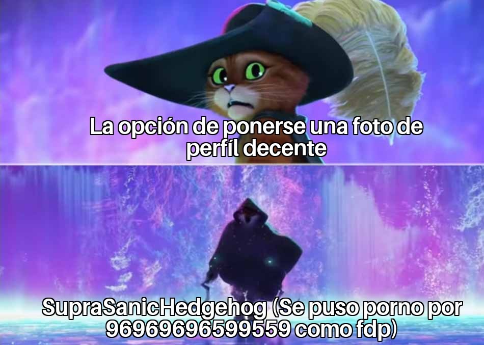 SupraSanicHedgehog - meme