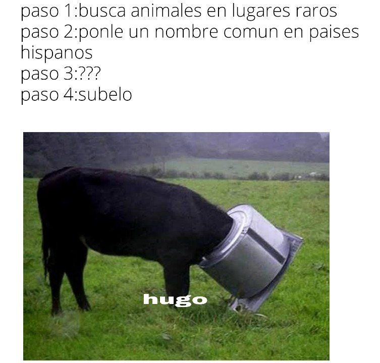 Hugo - meme