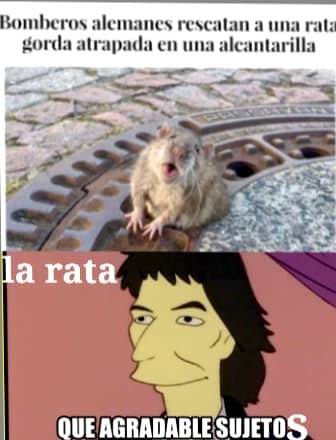 But la rata los muerde y les da rabia - meme
